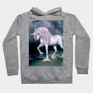 Beautiful unicorn Hoodie